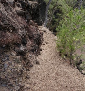 On the Path