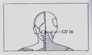 GV 16