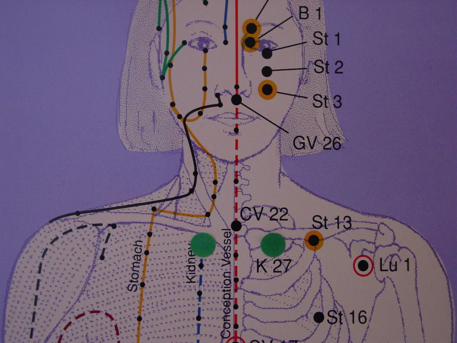Where can I find a diagram of body pressure points?
