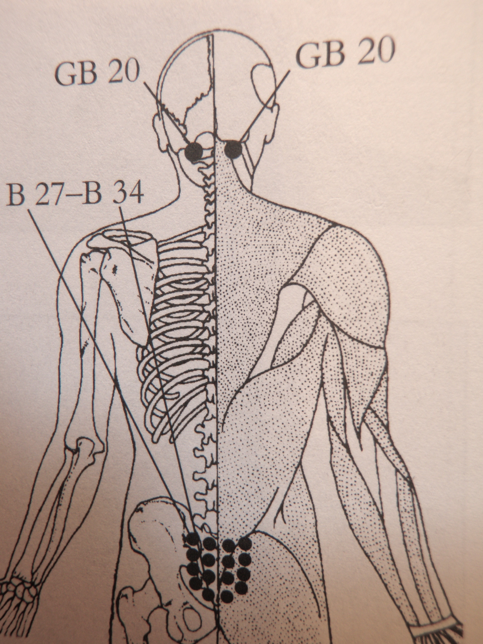 Accept. The pressure points for sexual arousal Pressure points for sexual arousal apologise, but