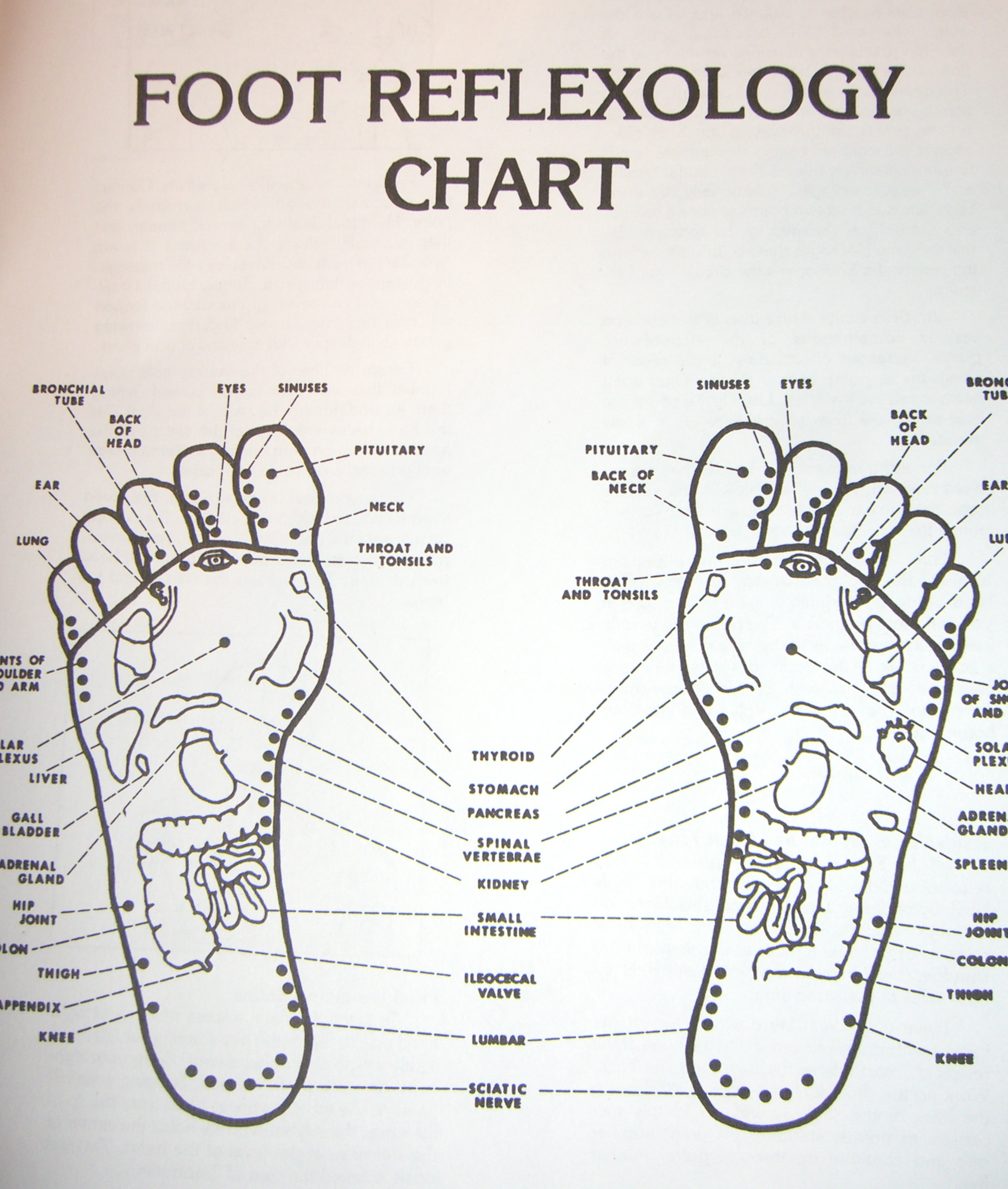 Introduction To Acupressure Points  Qi Gong  Self