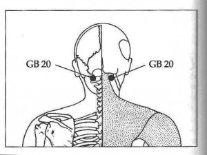 Tinnitus: Ringing Ear Acupressure Points for the Kidneys ... gall bladder body diagram 